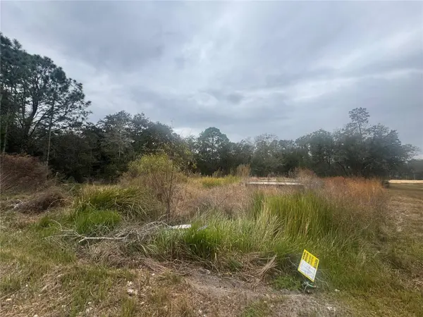 1443 TERN CT, Poinciana, FL 34759