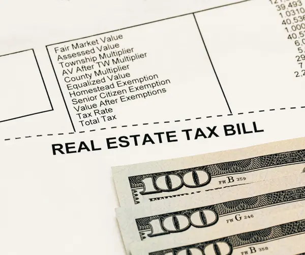 Temporada de Pagamento do Imposto sobre Propriedades na Flórida,Daniela Galvao