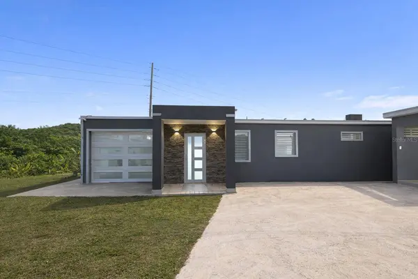 172 RIO ABAJO, Cidra, PR 00739