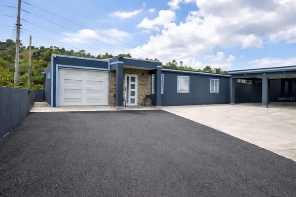 172 RIO ABAJO, Cidra, PR 00739