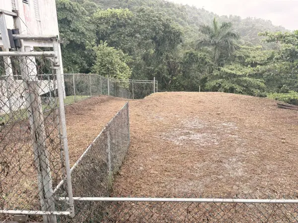 BO PITAHAYA, Luquillo, PR 00773
