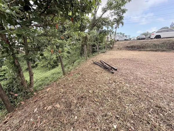 BO PITAHAYA, Luquillo, PR 00773