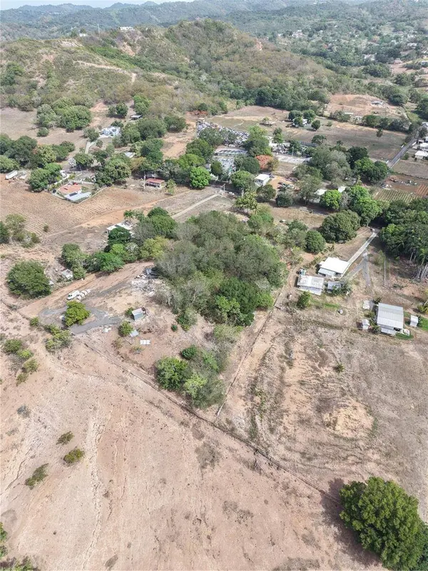 306, Lajas, PR 00667