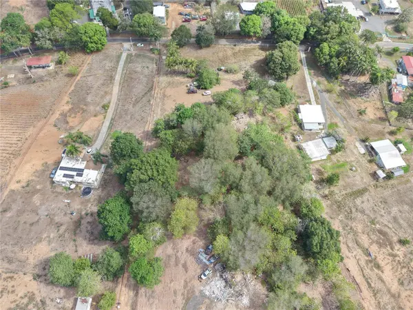 306, Lajas, PR 00667