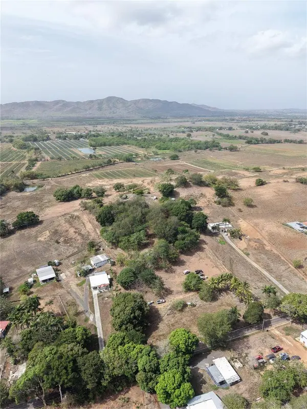 306, Lajas, PR 00667