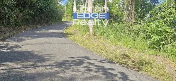 349 Km. 26.3, Bo. Juan Alonso, PR, 00680
