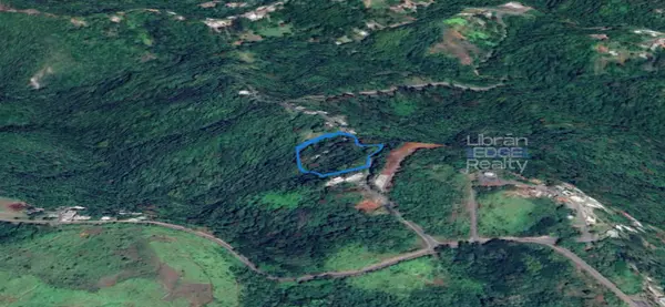 349 Km. 26.3, Bo. Juan Alonso, PR, 00680