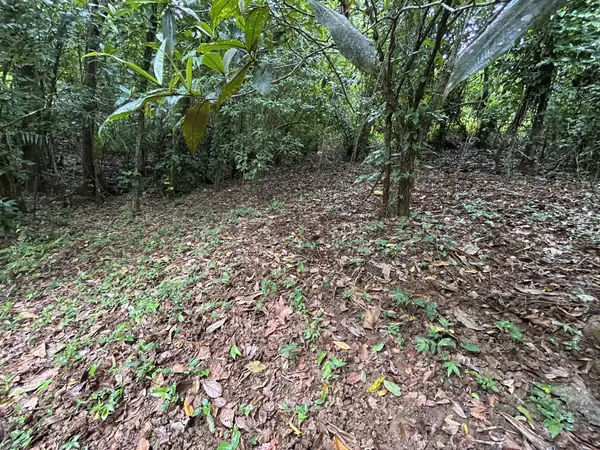 BO RIO ARRIBA #SECTOR DOS BOCAS