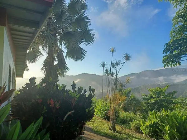 612 St. Bo. Don Alonso SECTOR BUJOSA, Utuado, PR 00641