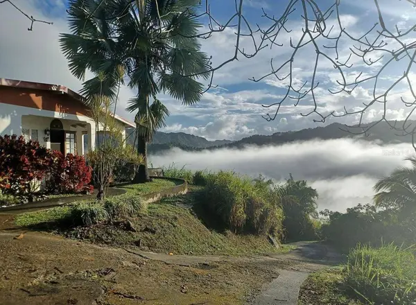 612 St. Bo. Don Alonso SECTOR BUJOSA, Utuado, PR 00641