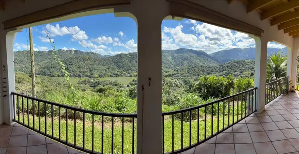 612 St. Bo. Don Alonso SECTOR BUJOSA, Utuado, PR 00641