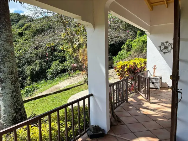 612 St. Bo. Don Alonso SECTOR BUJOSA, Utuado, PR 00641