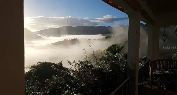 612 St. Bo. Don Alonso SECTOR BUJOSA, Utuado, PR 00641