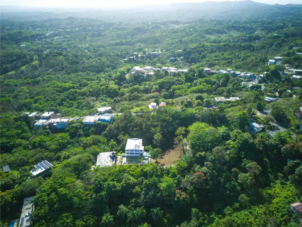 CARR. 115, KM 5.5 INT., Rincon, PR 00677