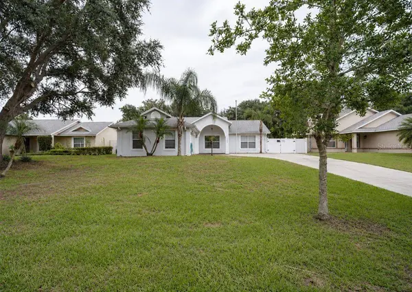 10520 REAGANS RUN DR, Clermont, FL 34711