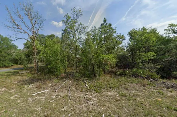1389 W PENDLETON ST, Dunnellon, FL 34434
