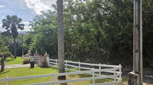 Carr. 363 KM HM 1, Barrio Santana. Sabana Grande, 00637