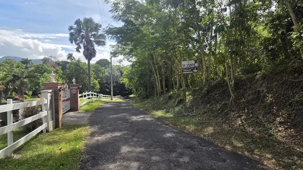 Carr. 363 KM HM 1, Barrio Santana. Sabana Grande, 00637