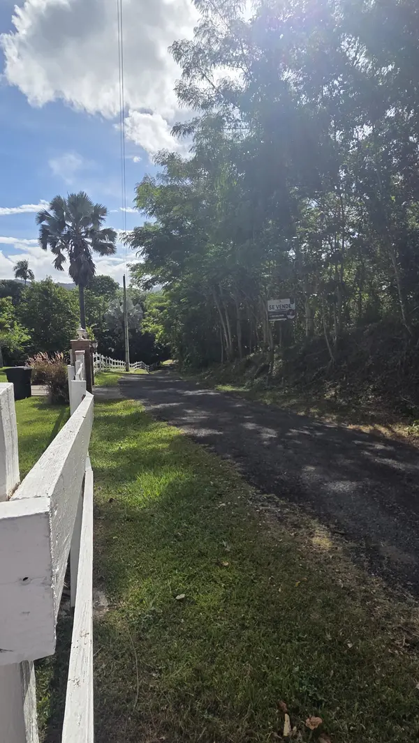 Carr. 363 KM HM 1, Barrio Santana. Sabana Grande, 00637