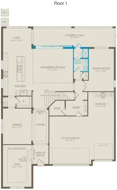 4608 GOLDEN BIRCH AVE, Clermont, FL 34714