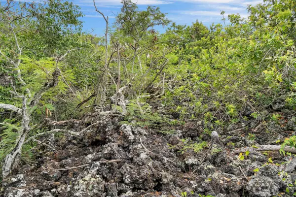 AWAPUHI AVE, Captain Cook, HI 96704