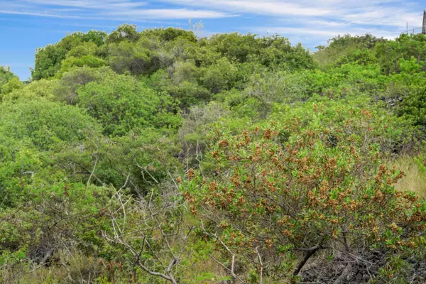 AWAPUHI AVE, Captain Cook, HI 96704