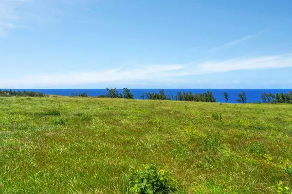 ULI RD #Lot 1, Hawi, HI 96719