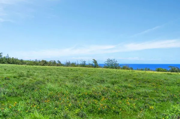 ULI RD #Lot 1, Hawi, HI 96719