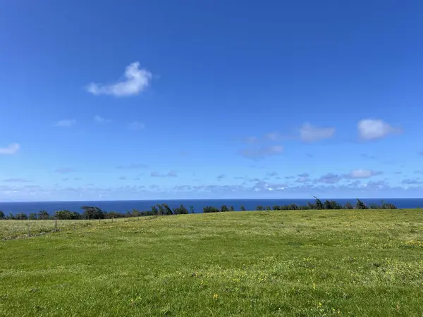 ULI ROAD #Lot 2, Hawi, HI 96719