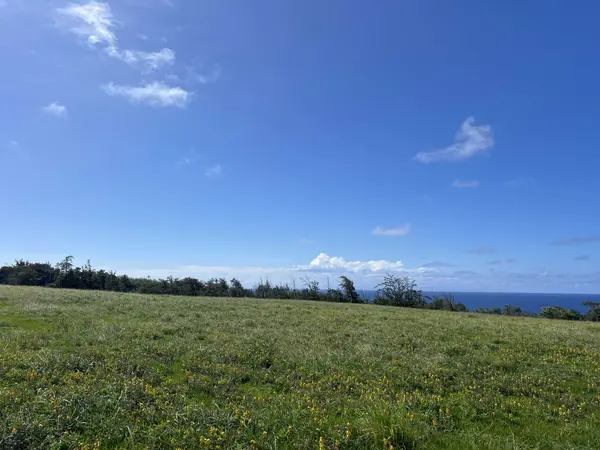 55-199-B HOEA RD, Hawi, HI 96719