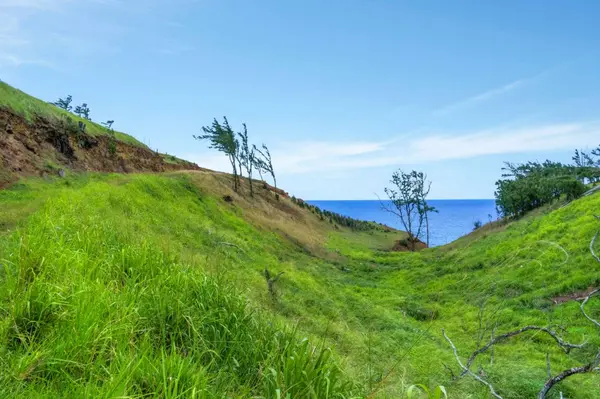 55-199-B HOEA RD, Hawi, HI 96719