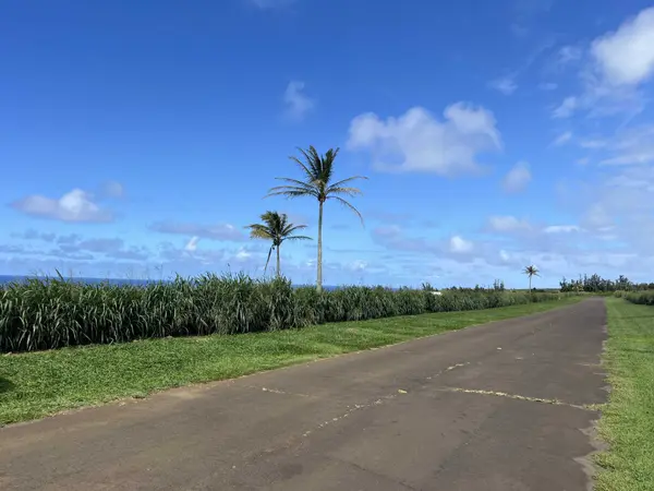 ULI RD #Lot 1, Hawi, HI 96719