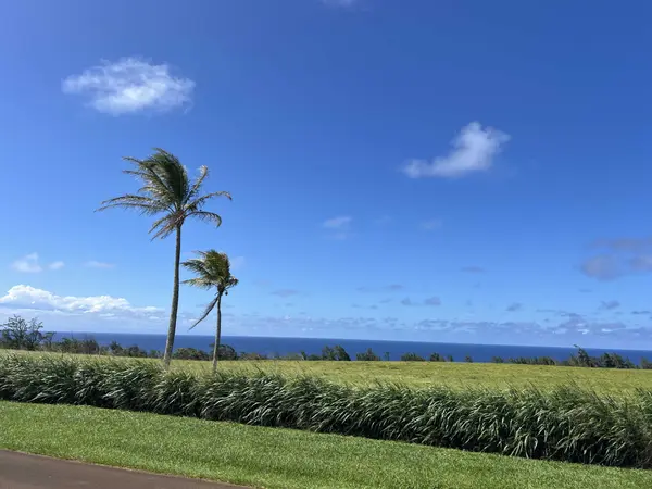 ULI ROAD #Lot 2, Hawi, HI 96719