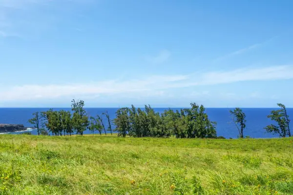 ULI RD #Lot 1, Hawi, HI 96719