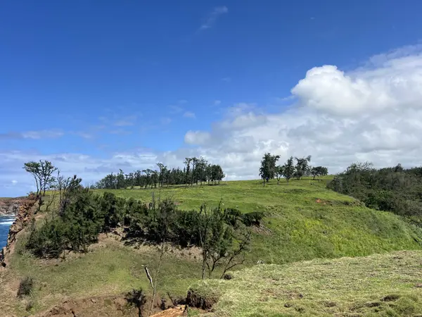 55-199-B HOEA RD, Hawi, HI 96719