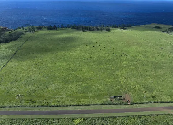 ULI RD #Lot 1, Hawi, HI 96719