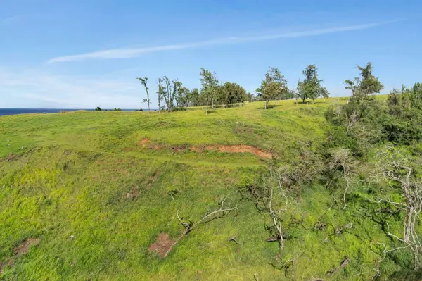 55-199-B HOEA RD, Hawi, HI 96719