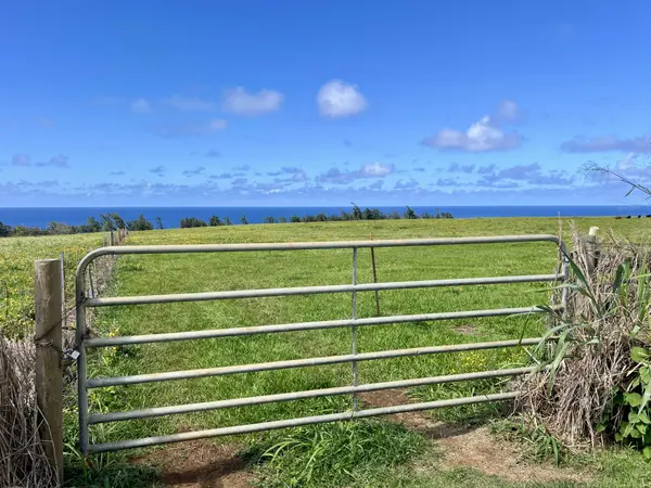 ULI RD #Lot 1, Hawi, HI 96719