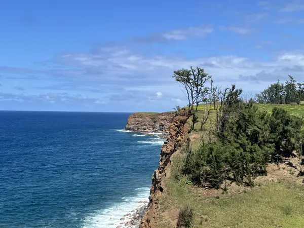 55-199-B HOEA RD, Hawi, HI 96719