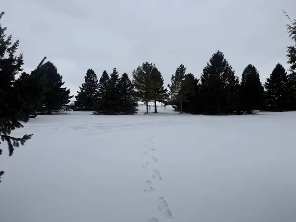 604 Lakeshore Dr, Kewaunee, WI 54216