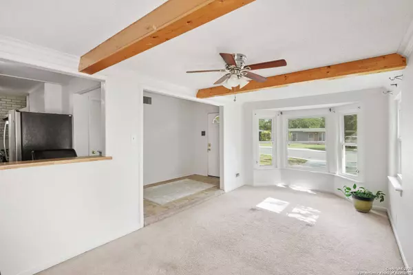 255 Trudell Dr, San Antonio, TX 78213