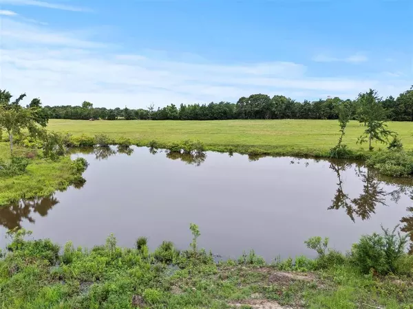 0000 VZ CR 4607 Road, Ben Wheeler, TX 75754