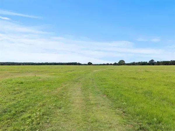 0000 VZ CR 4607 Road, Ben Wheeler, TX 75754