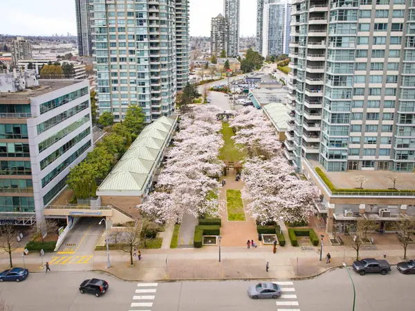 1889 Rosser AVE #TH4, Burnaby, BC V5C 6R4