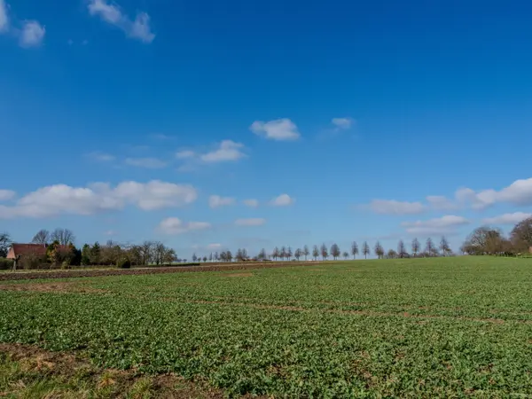 Buying a Home with Acreage in Southwest Florida: What to Check Beyond the House,Ashley Novak