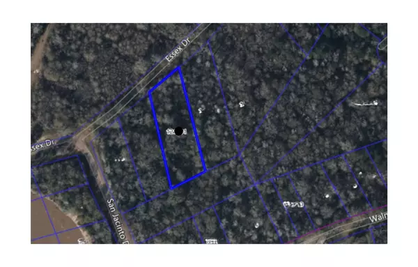 TBD S ESSEX DR, Conroe, TX 77302