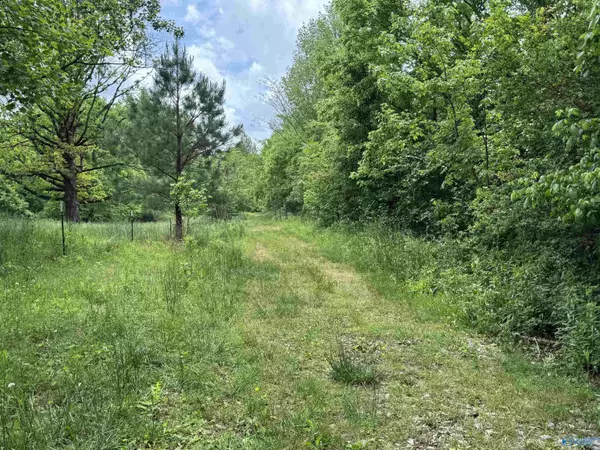 5 Ac. County Road 8, Woodville, AL 35776