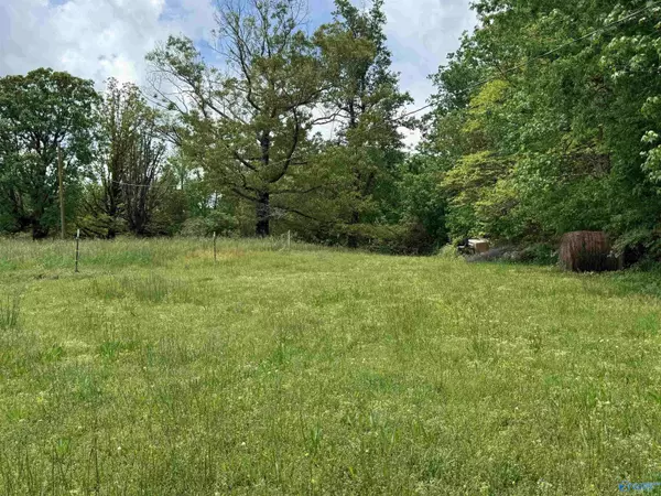 5 Ac. County Road 8, Woodville, AL 35776