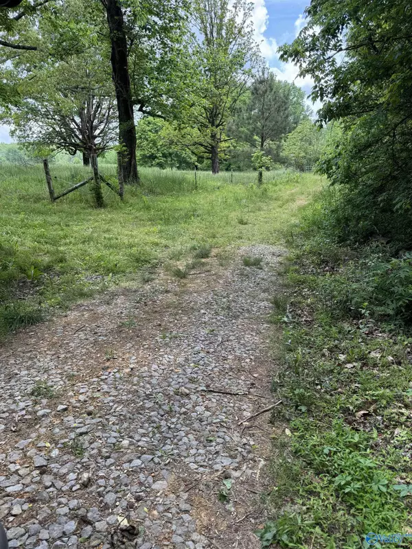 5 Ac. County Road 8, Woodville, AL 35776