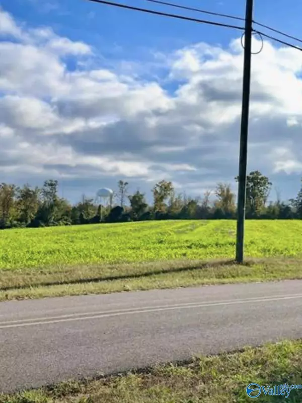 392 & 418 Scenic Drive, Section, AL 35771